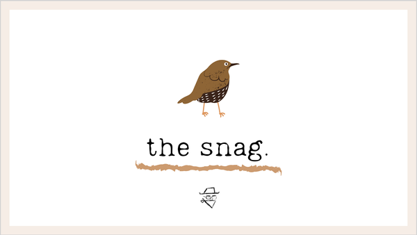 the Snag.